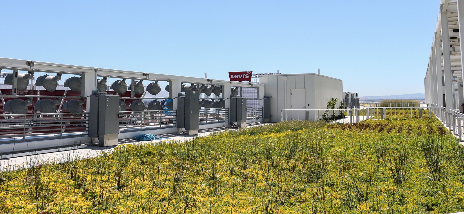 Levi's Stadium's NRG Solar Terrace Green Roof in Vines