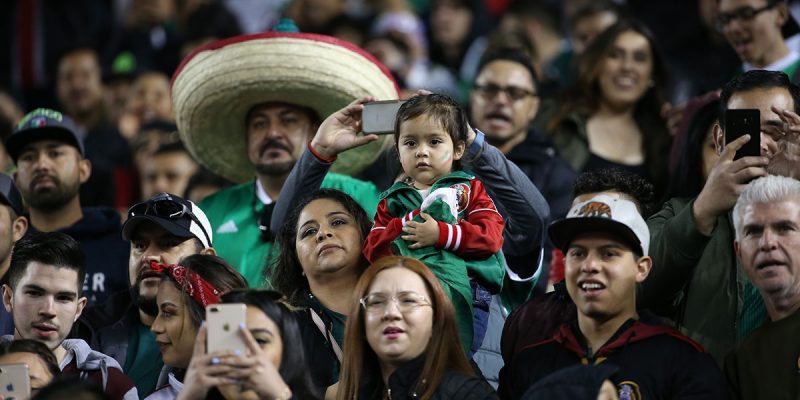 Mexico Soccer Fans