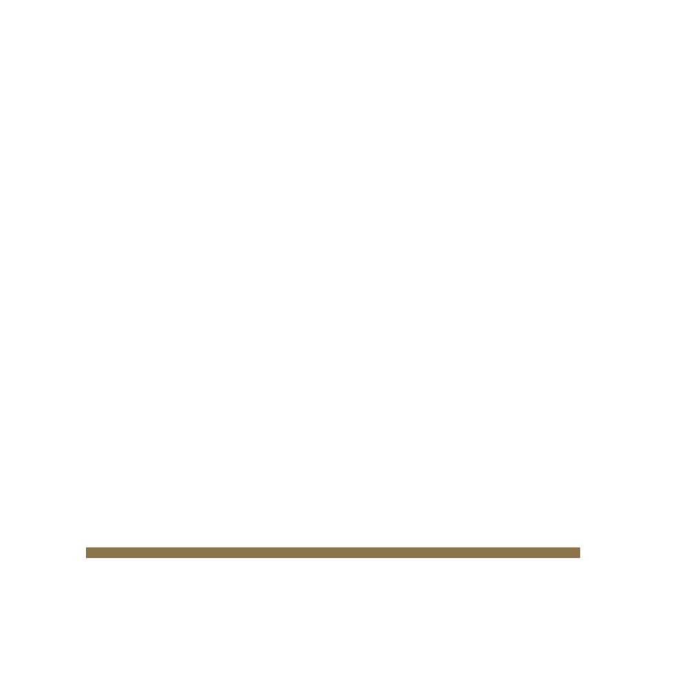 Sports and Social Justice in the Bay Area picture